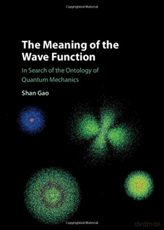 The Meaning of the Wave Function: In Search of the Ontology of Quantum Mechanics - Shan Gao [KSIĄŻKA]
