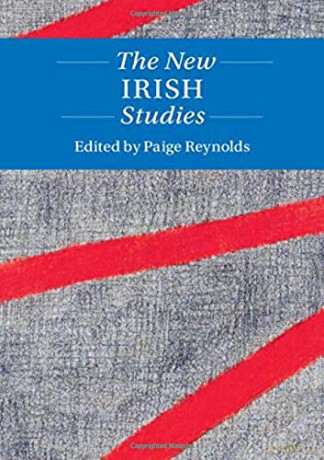 The New Irish Studies (Twenty-First-Century Critical Revisions) - Paige Reynolds [KSIĄŻKA]