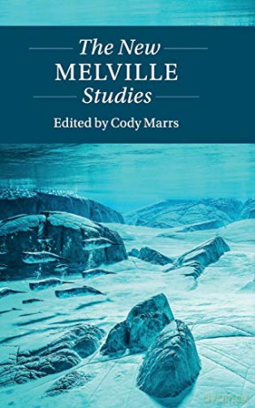 The New Melville Studies (Twenty-First-Century Critical Revisions) - Cody Marrs [KSIĄŻKA]