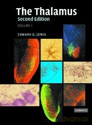The Thalamus 2 Volume Hardback Set - Edward G. Jones [KSIĄŻKA]