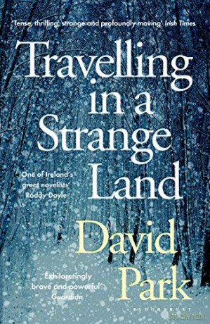 Travelling in a Strange Land: Winner of the Kerry Group Irish Novel of the Year - David Park [KSIĄŻKA]