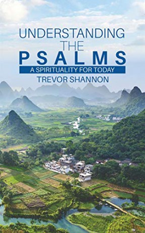 Understanding the Psalms:A Spirituality for Today - Trevor Shannon [KSIĄŻKA]
