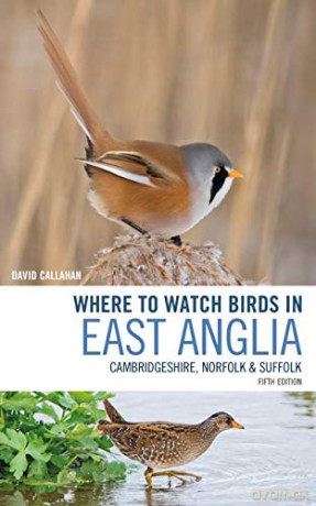 Where to Watch Birds in East Anglia: Cambridgeshire, Norfolk and Suffolk - David Callahan [KSIĄŻKA]