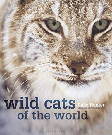 Wild Cats of the World - Luke Hunter [KSIĄŻKA]