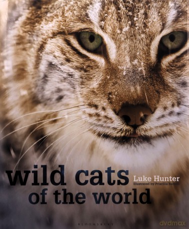 Wild Cats of the World - Luke Hunter [KSIĄŻKA]