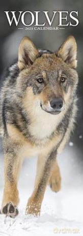 Wolves Slim 2021 Calendar [KSIĄŻKA]