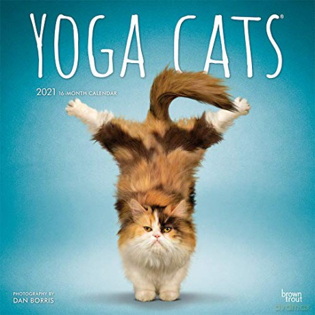 Yoga Cats 2021 Square Wall Calendar [KALENDARZ]