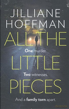 All the Little Pieces - Jilliane Hoffman [KSIĄŻKA]