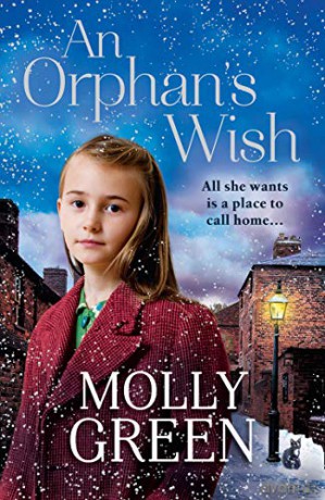 An Orphan's Wish: The new, most heartwarming historical fiction novel you will read this year - Molly Green [KSIĄŻKA]