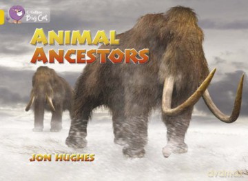 Animal Ancestors: Band 09/Gold (Collins Big Cat) - Jon Hughes [KSIĄŻKA]