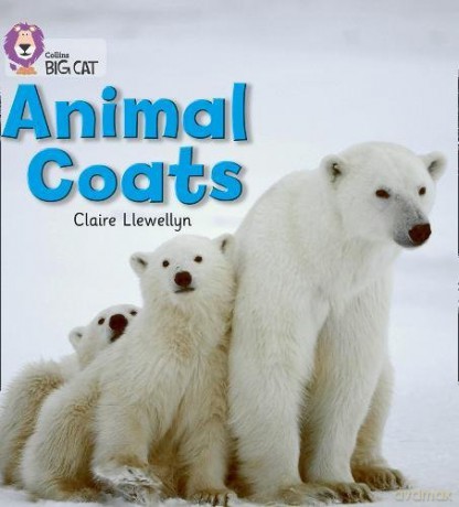 Animal Coats: Band 02A/Red A (Collins Big Cat) - Claire Llewellyn [KSIĄŻKA]