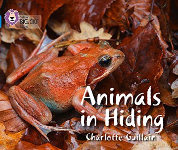 Animals in Hiding: Band 04/Blue (Collins Big Cat) - Charlotte Guillain [KSIĄŻKA]