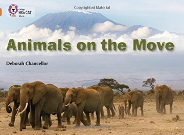 Animals on the Move: Band 12/Copper (Collins Big Cat) - Deborah Chancellor [KSIĄŻKA]