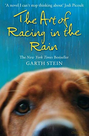 Art Of Racing In The Rain - Garth Stein [KSIĄŻKA]