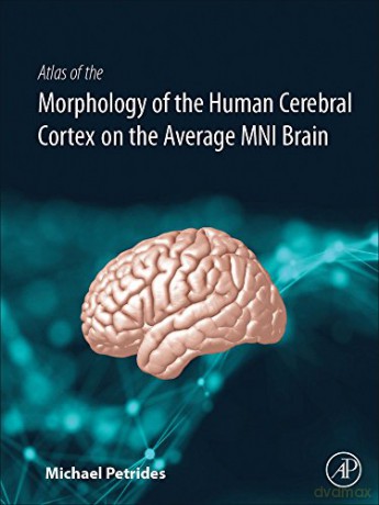 Atlas of the Morphology of the Human Cerebral Cortex on the Average MNI Brain - Michael Petrides [KSIĄŻKA]