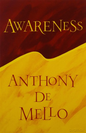 Awareness [KSIĄŻKA]