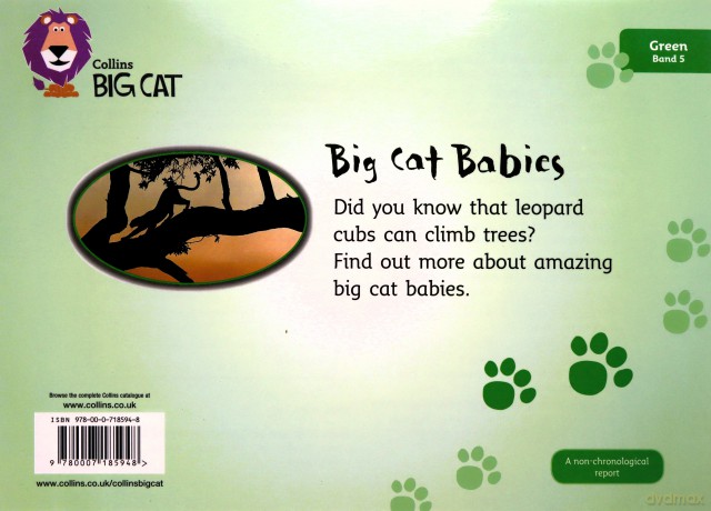 Big Cat Babies: This non-chronological report is packed with facts about big cats.: Band 05/Green (Collins Big Cat) - Jonathan Scott [KSIĄŻKA]