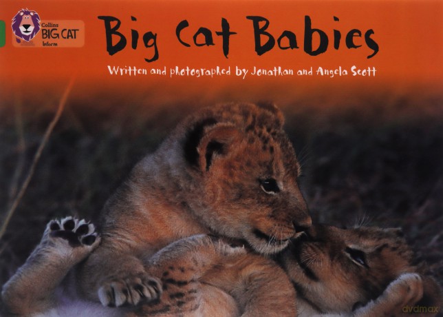 Big Cat Babies: This non-chronological report is packed with facts about big cats.: Band 05/Green (Collins Big Cat) - Jonathan Scott [KSIĄŻKA]