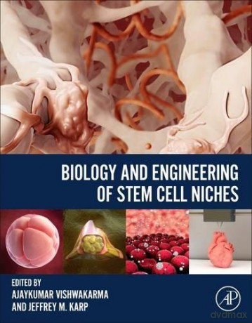 Biology and Engineering of Stem Cell Niches - Dr. Ajaykumar Vishwakarma [KSIĄŻKA]