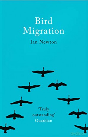 Bird Migration - Ian Newton [KSIĄŻKA]