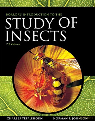 Borror and DeLong's Introduction to the Study of Insects - Norman Johnson [KSIĄŻKA]