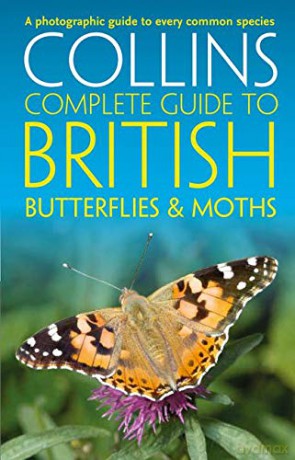 British Butterflies and Moths (Collins Complete Guides) - Paul Sterry [KSIĄŻKA]