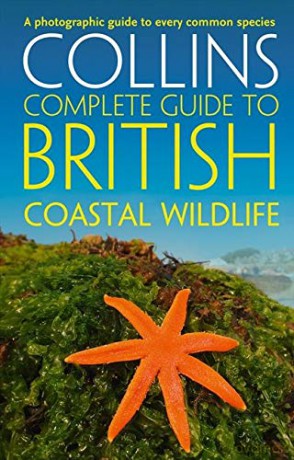 British Coastal Wildlife (Collins Complete Guides) - Paul Sterry [KSIĄŻKA]
