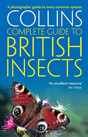 British Insects: A photographic guide to every common species (Collins Complete Guide) - Michael Chinery [KSIĄŻKA]