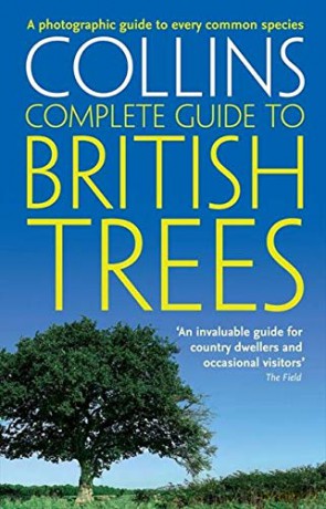 British Trees: A photographic guide to every common species (Collins Complete Guide) - Paul Sterry [KSIĄŻKA]