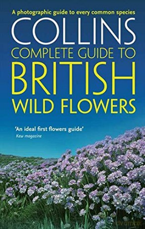 British Wild Flowers: A photographic guide to every common species (Collins Complete Guide) - Paul Sterry [KSIĄŻKA]