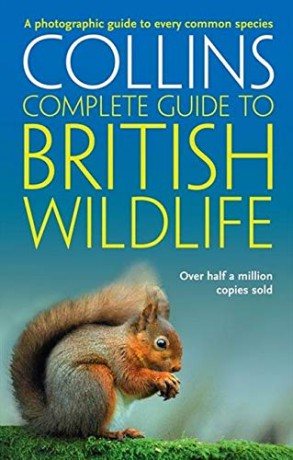 British Wildlife: A photographic guide to every common species (Collins Complete Guide) - Paul Sterry [KSIĄŻKA]