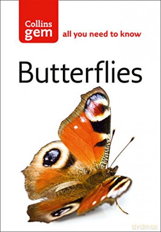 Butterflies (Collins Gem) - Michael Chinery [KSIĄŻKA]