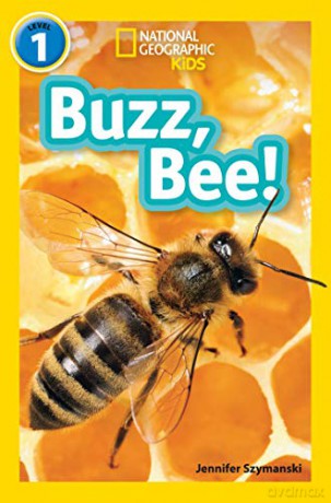 Buzz, Bee!: Level 1 (National Geographic Readers) - Jennifer Szymanski [KSIĄŻKA]