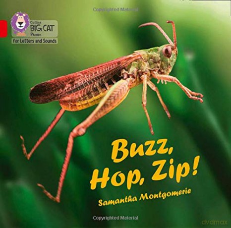 Buzz, Hop, Zip! Big Book: Band 02A/Red A (Collins Big Cat Phonics for Letters and Sounds) - Samantha Montgomerie [KSIĄŻKA]