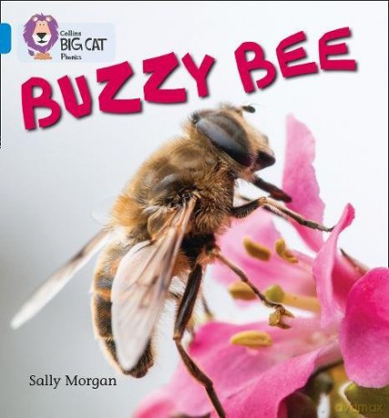 Buzzy Bees: Band 04/Blue (Collins Big Cat Phonics) - Sally Morgan [KSIĄŻKA]