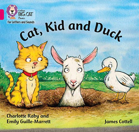 Cat, Kid and Duck: Band 01B/Pink B (Collins Big Cat Phonics for Letters and Sounds) - Charlotte Raby [KSIĄŻKA]
