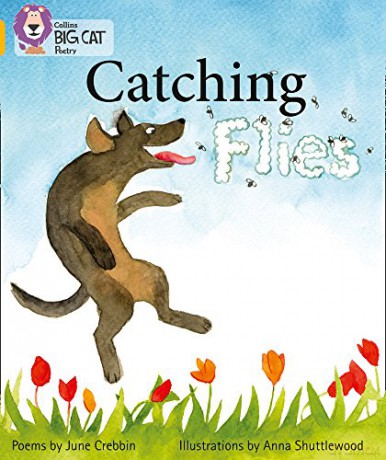 Catching Flies: Band 09/Gold (Collins Big Cat) - June Crebbin [KSIĄŻKA]