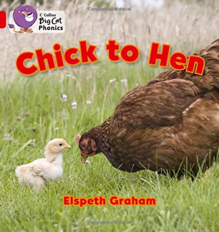 Chick to Hen: Band 02A/Red A (Collins Big Cat Phonics) - Elspeth Graham [KSIĄŻKA]