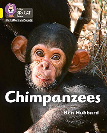 Chimpanzees: Band 03/Yellow (Collins Big Cat Phonics for Letters and Sounds) - Ben Hubbard [KSIĄŻKA]