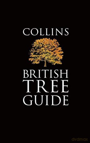 Collins British Tree Guide (Collins Pocket Guide) - Owen Johnson [KSIĄŻKA]