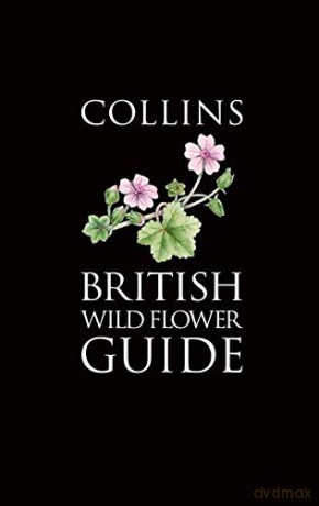 Collins British Wild Flower Guide (Collins Pocket Guide) - David Streeter [KSIĄŻKA]