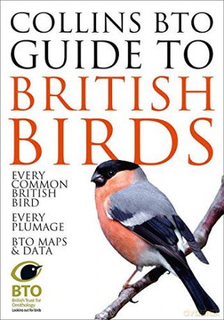Collins BTO Guide to British Birds - Paul Sterry [KSIĄŻKA]