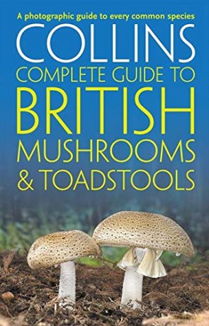 Collins Complete British Mushrooms and Toadstools: The essential photograph guide to Britain's fungi (Collins Complete Guides) - Paul Sterry [KSIĄŻKA]