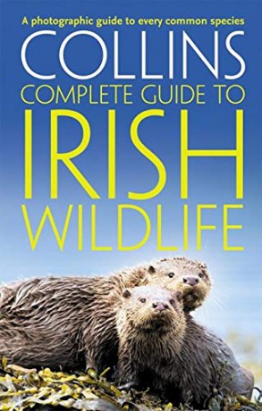 Collins Complete Irish Wildlife: Introduction by Derek Mooney (Collins Complete Guide) - Paul Sterry [KSIĄŻKA]