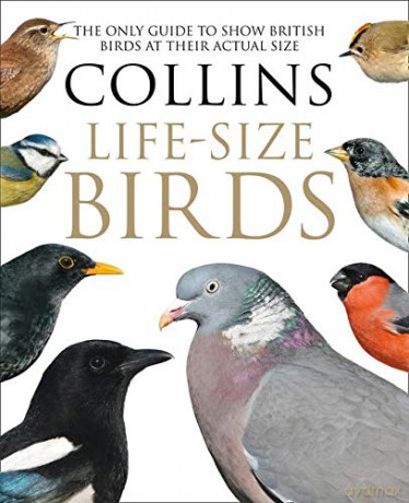 Collins Life-Size Birds: The Only Guide to Show British Birds at their Actual Size - Paul Sterry [KSIĄŻKA]