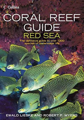 Coral Reef Guide Red Sea: The Definitive Guide to Over 1200 Species of Underwater Life - Ewald Lieske [KSIĄŻKA]