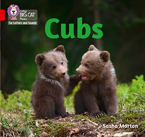 Cubs: Band 02A/Red A (Collins Big Cat Phonics for Letters and Sounds) - Sasha Morton [KSIĄŻKA]