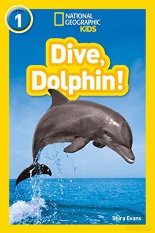 Dive, Dolphin!: Level 1 (National Geographic Readers) - Shira Evans [KSIĄŻKA]