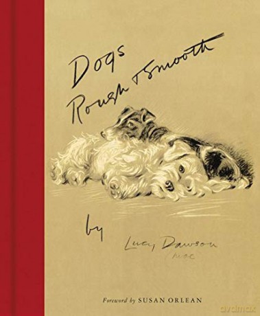 Dogs Rough and Smooth - Lucy Dawson [KSIĄŻKA]