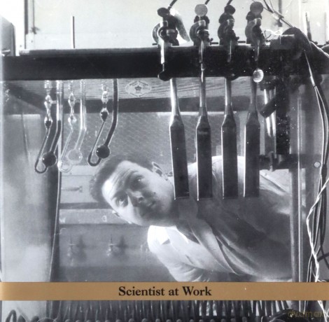 Frank London: Scientist at Work [CD]